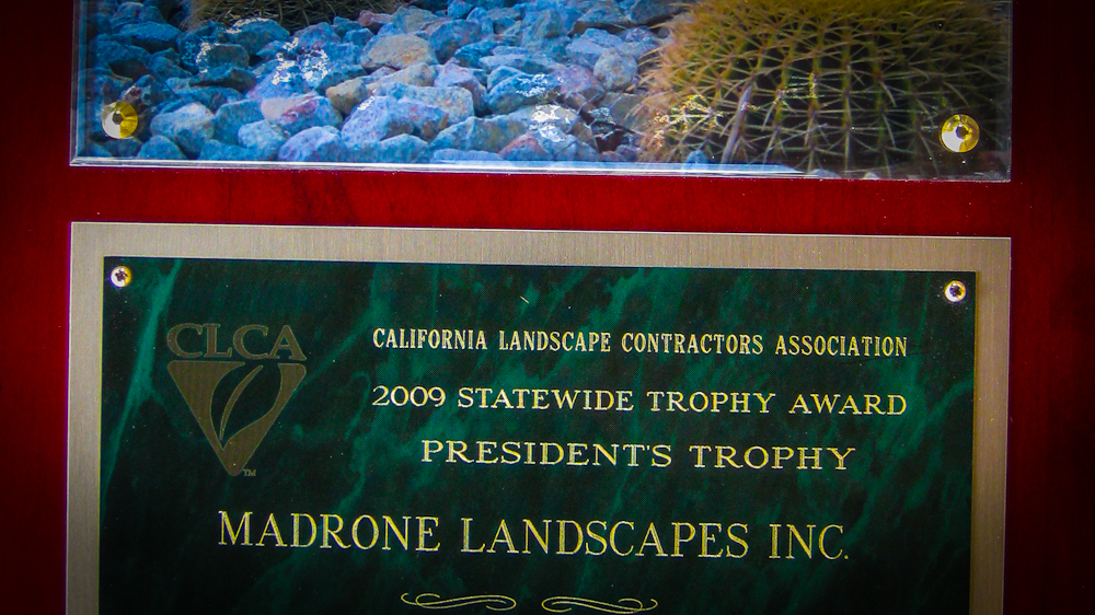 Madrone Landscape Wins CLCA Statewide Trophy Award!