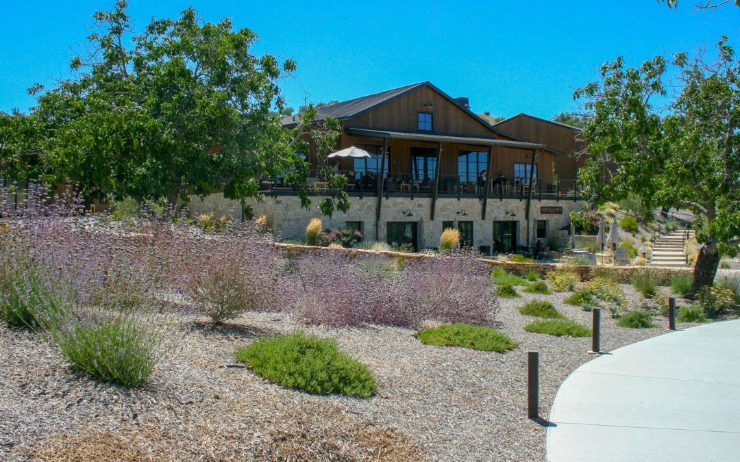 Adelaida Winery