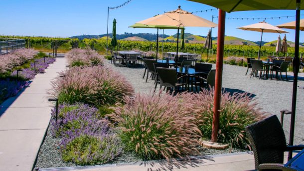 Tasting Room Landscapes in the 2020s - Madrone Landscape