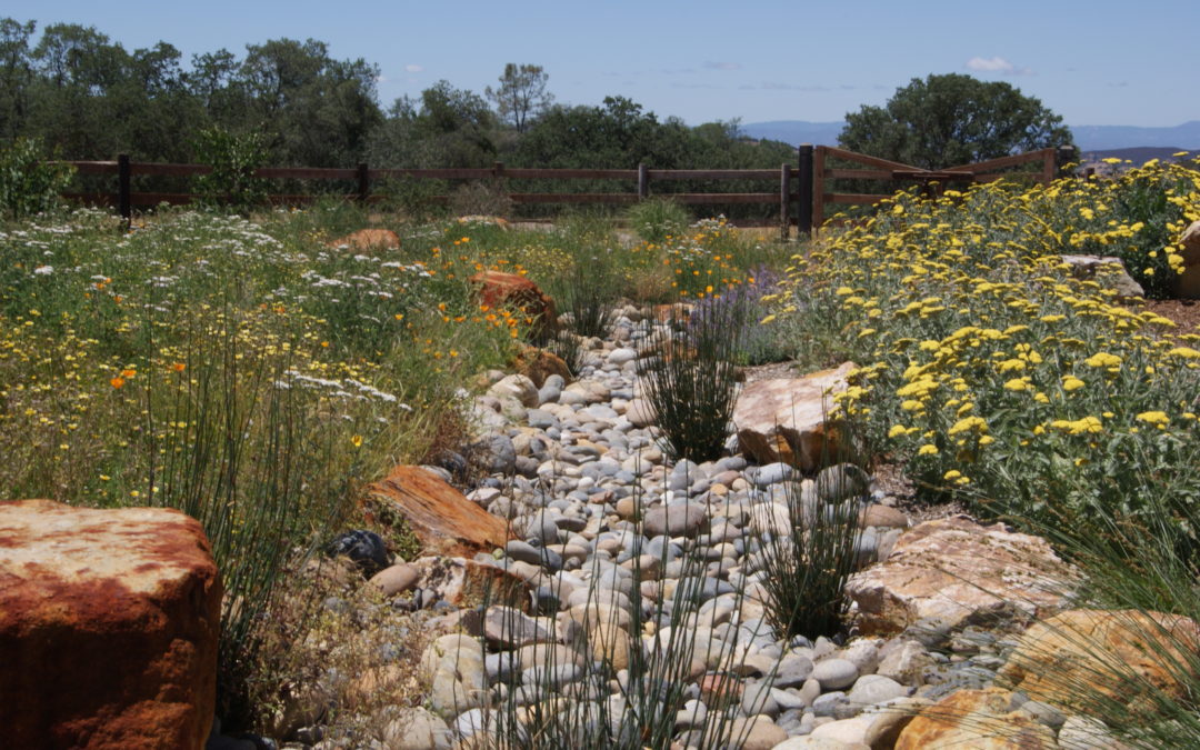 Rainwater Harvesting for California’s Central Coast