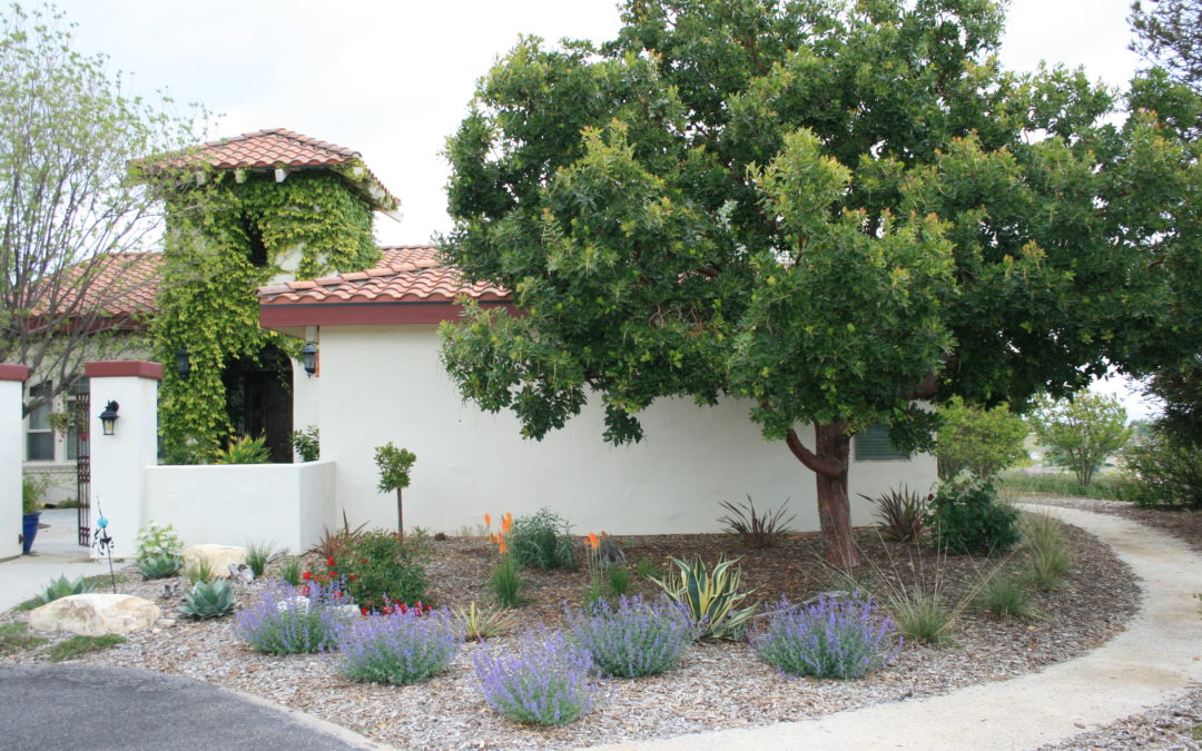 The Synergy of Your Landscape: Adding Value to Your Home