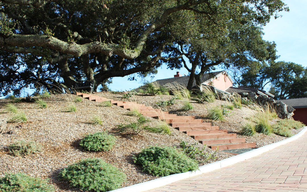 Atascadero Oak Woodland