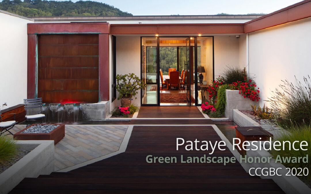 All Grown Up: Pataye Custom Landscape, 2 Years Later