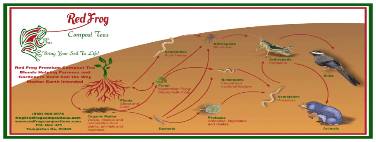 Soil cycle