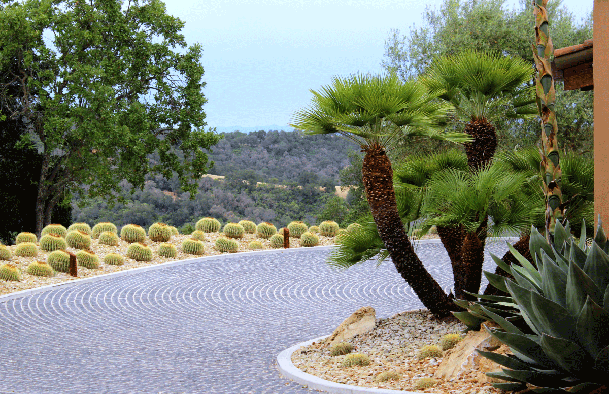 Essential Landscape Design Guide to Maximizing your Space