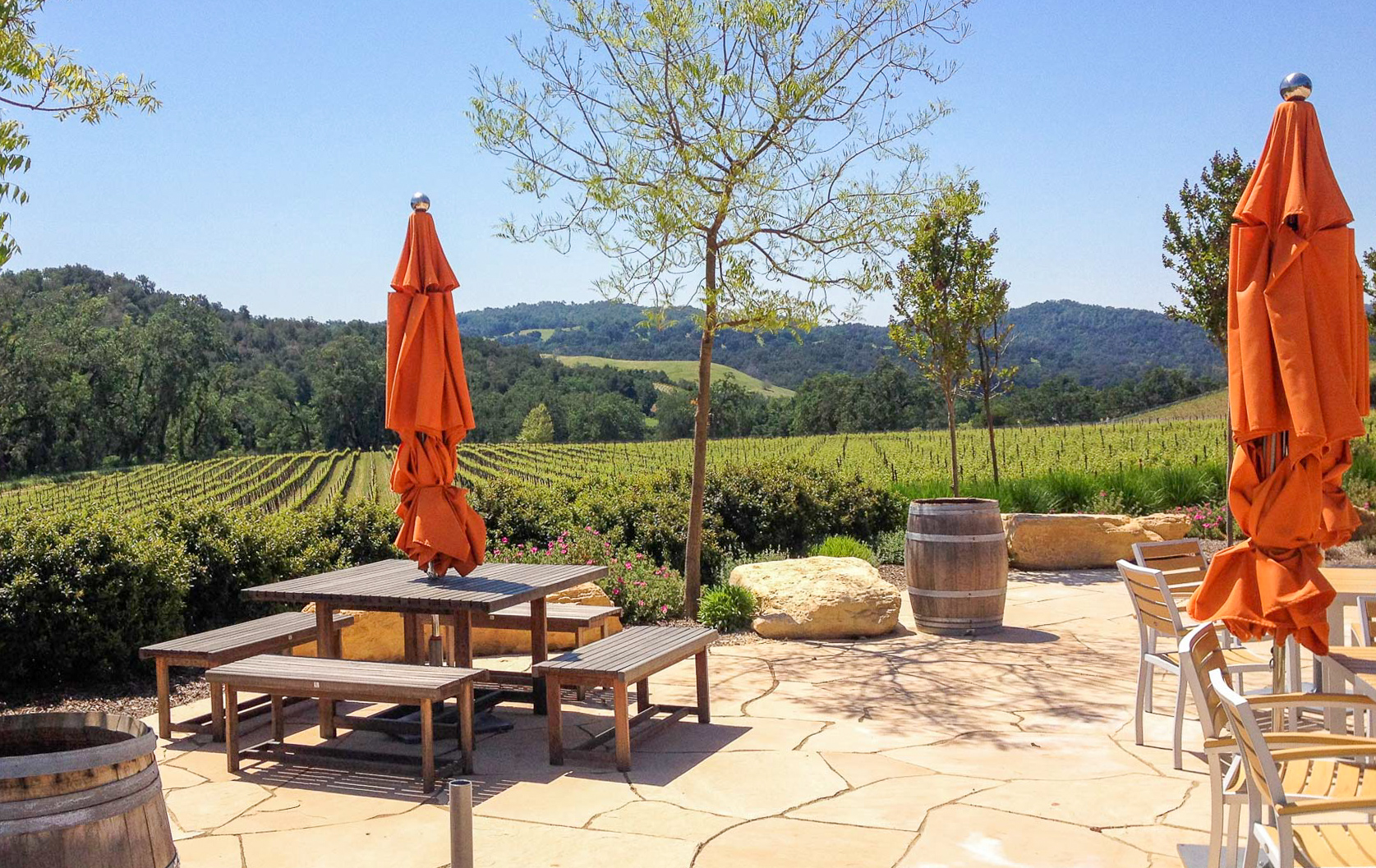 Halter Ranch Landscape 9 Madrone Landscapes Halter Ranch Landscape 9 Madrone Landscapes