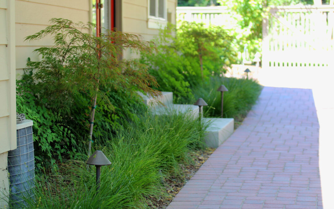 Guest House Cottage Garden