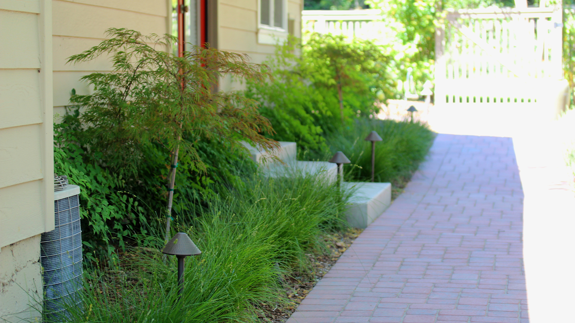Madrone_gueshouse_grasses_lighting_Central Coast CA_pathways