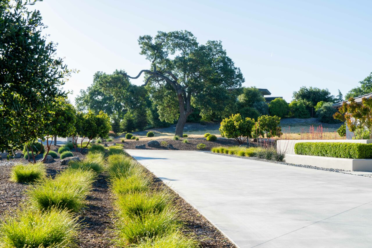 Serene Woodland Retreat Madrone Landscape