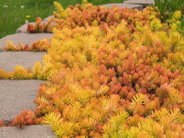 Vibrant Autumn Landscapes in California’s Central Coast