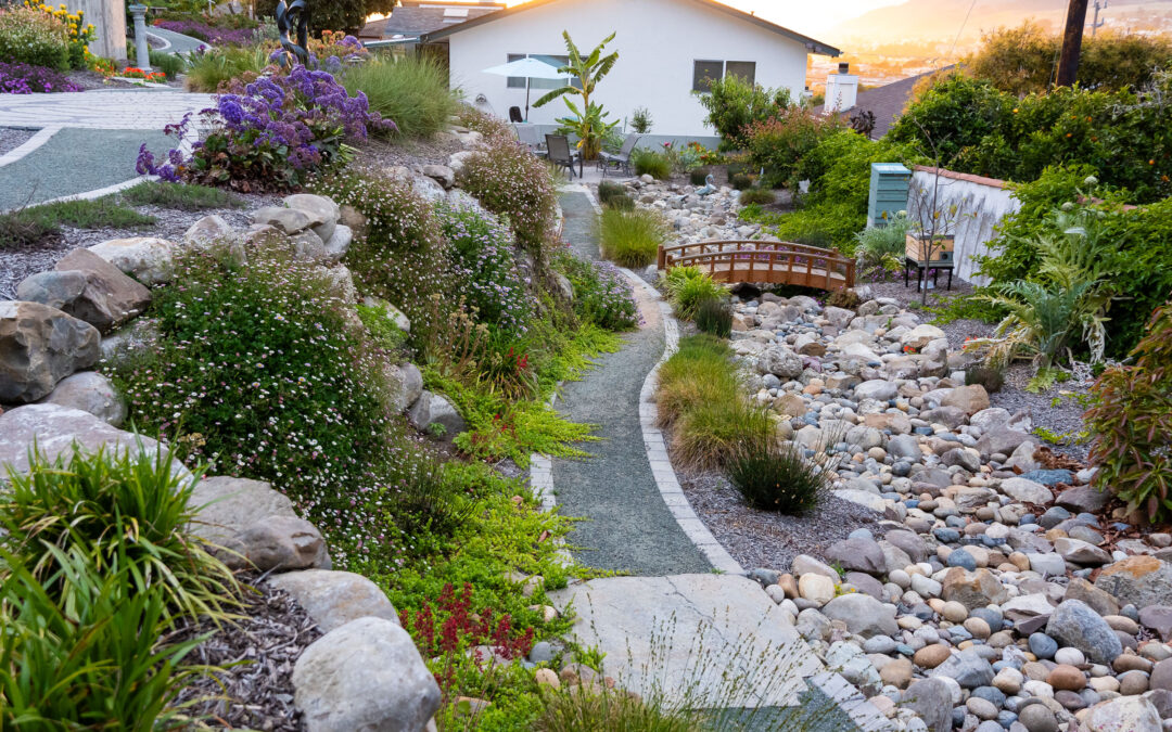 Hillside Coastal Color Garden