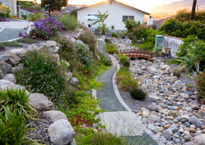 Hillside Coastal Color Garden