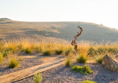 California Ranch Landscape Design Madrone