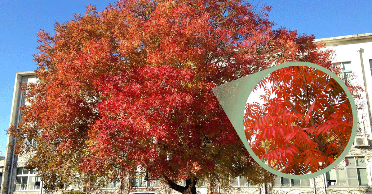 Vibrant Autumn Landscapes in California's Central Coast