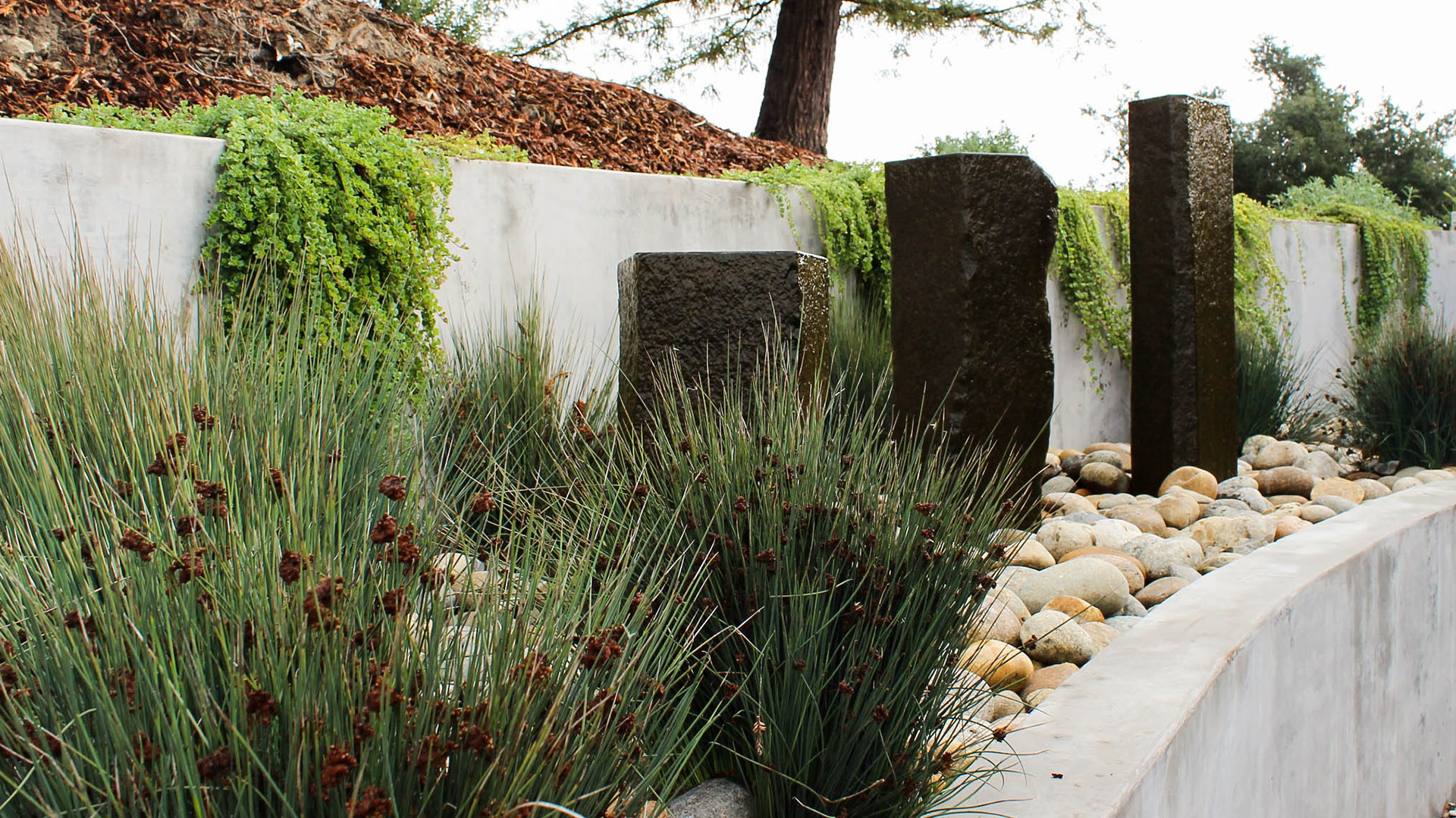 San Luis Obispo residential landscape design build Madrone