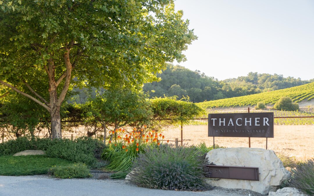 Thacher Winery