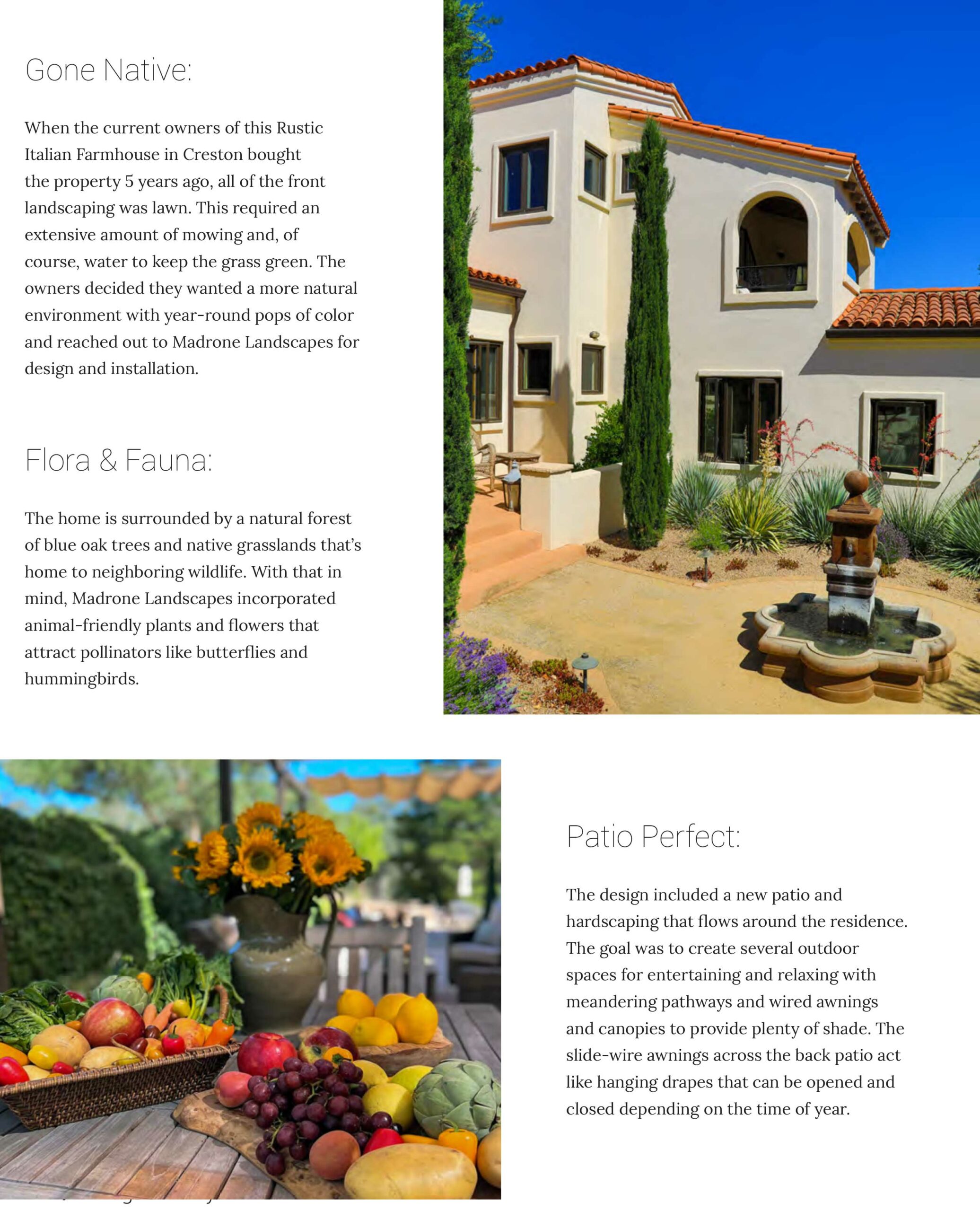 Year-round pops of color, Mediterranean climate