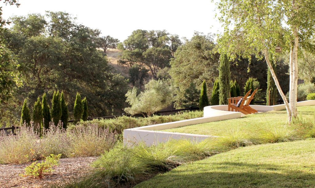 Madrone North County Native Natural Landscape