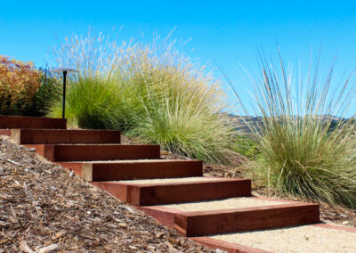 Paso Robles Modern Vineyard Overlook Madrone Landscape