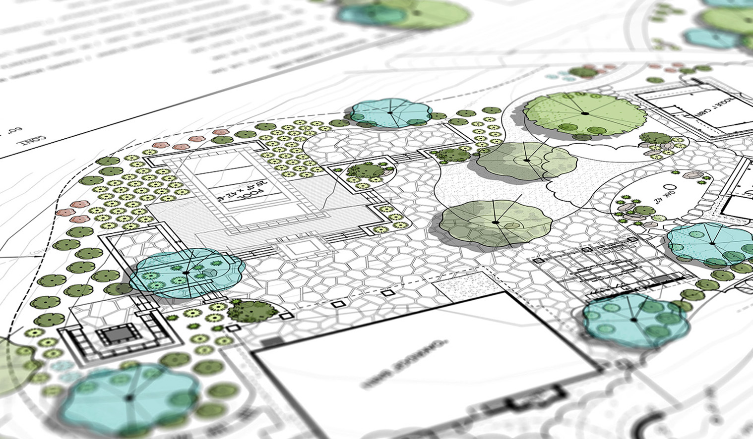 Madrone Landscape Design Concept Drawing Plan
